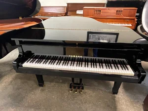 グランドピアニスト/Grand Pianist with YAMAHA Steinway & Yamaha Pianos | Long Island | NYC